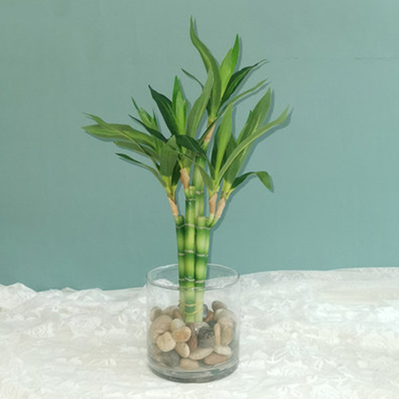 New 40cm Artificial Lucky Bamb - Desktop Organizer Bamboo 评论和价格