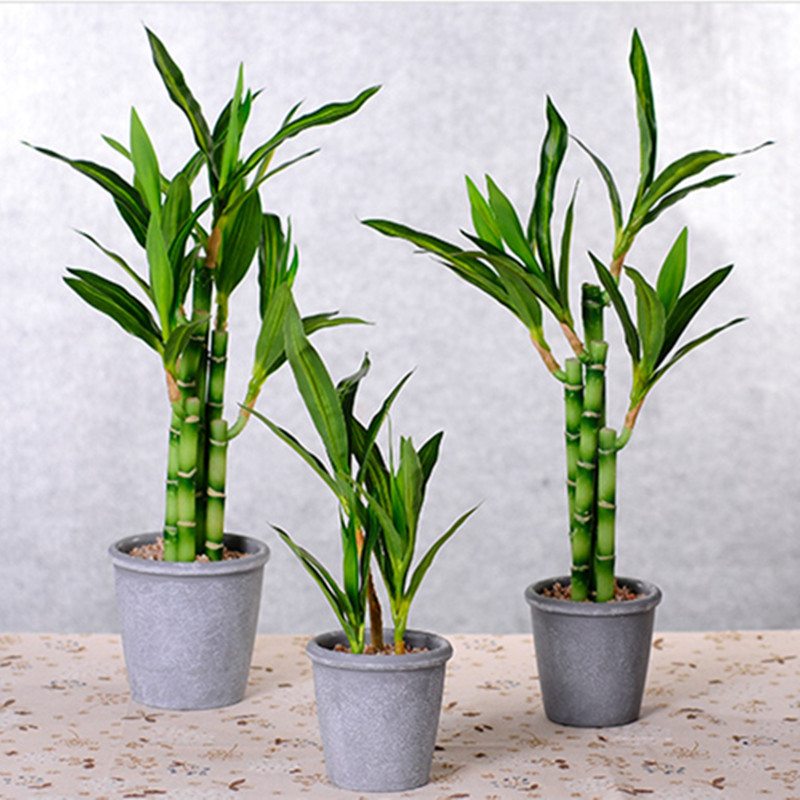 New 40cm Artificial Lucky Bamb - Desktop Organizer Bamboo 评论和价格