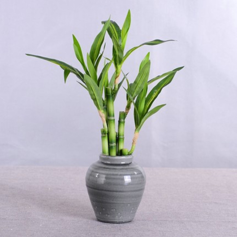 New 40cm Artificial Lucky Bamb - Desktop Organizer Bamboo 评论和价格
