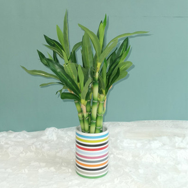 New 40cm Artificial Lucky Bamb - Desktop Organizer Bamboo 评论和价格